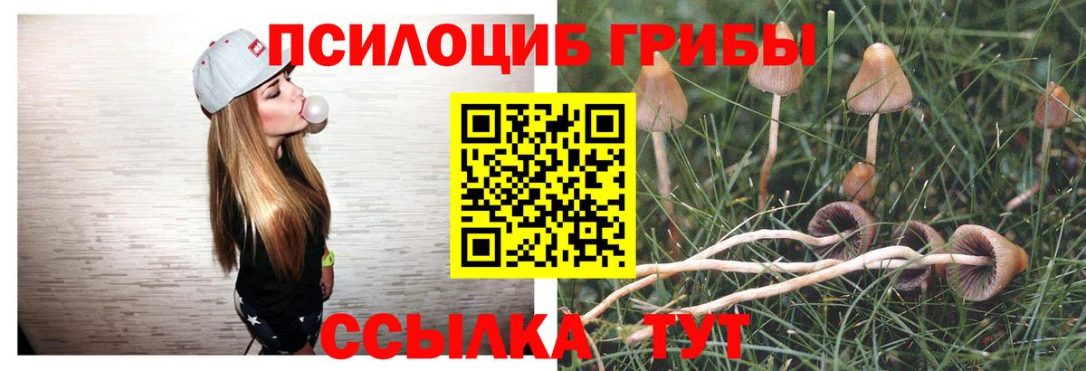 Галлюциногенные грибы GOLDEN TEACHER  Вход с VPN  Светлоград  Галлюциногенные грибы прущие грибы 